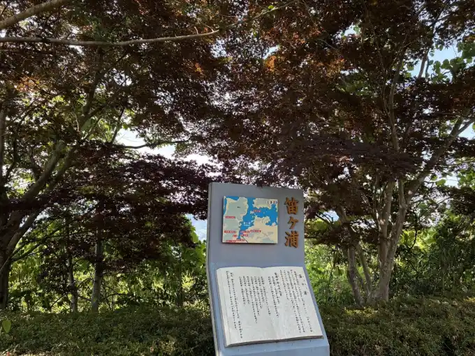 写真No.4