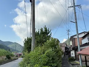 写真No.17