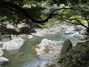写真No.13