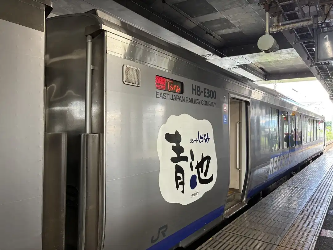 写真No.19