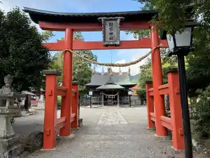 写真No.7