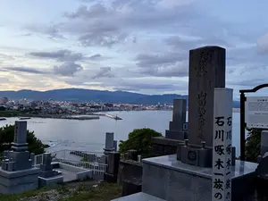 写真No.7