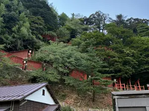 写真No.5