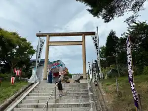写真No.6