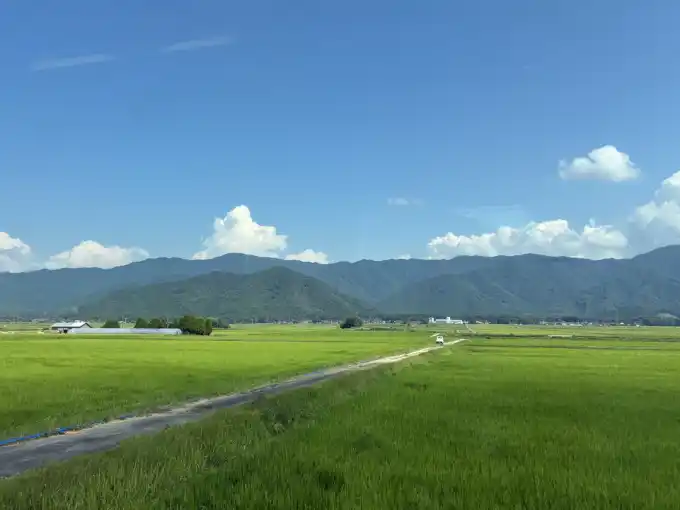 写真No.3