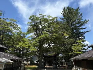 写真No.12