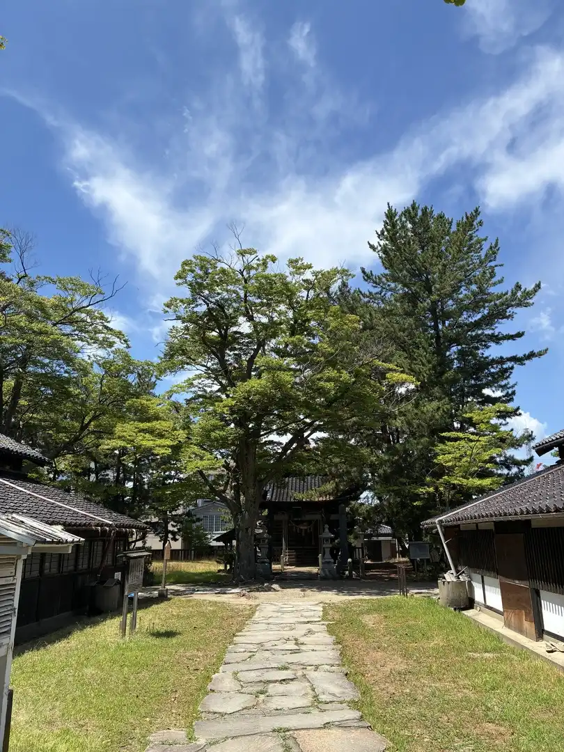 写真No.12
