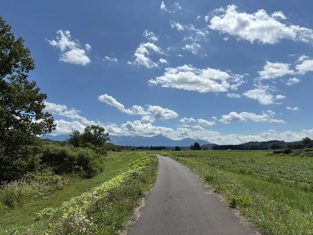 写真No.2