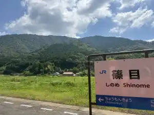 写真No.7