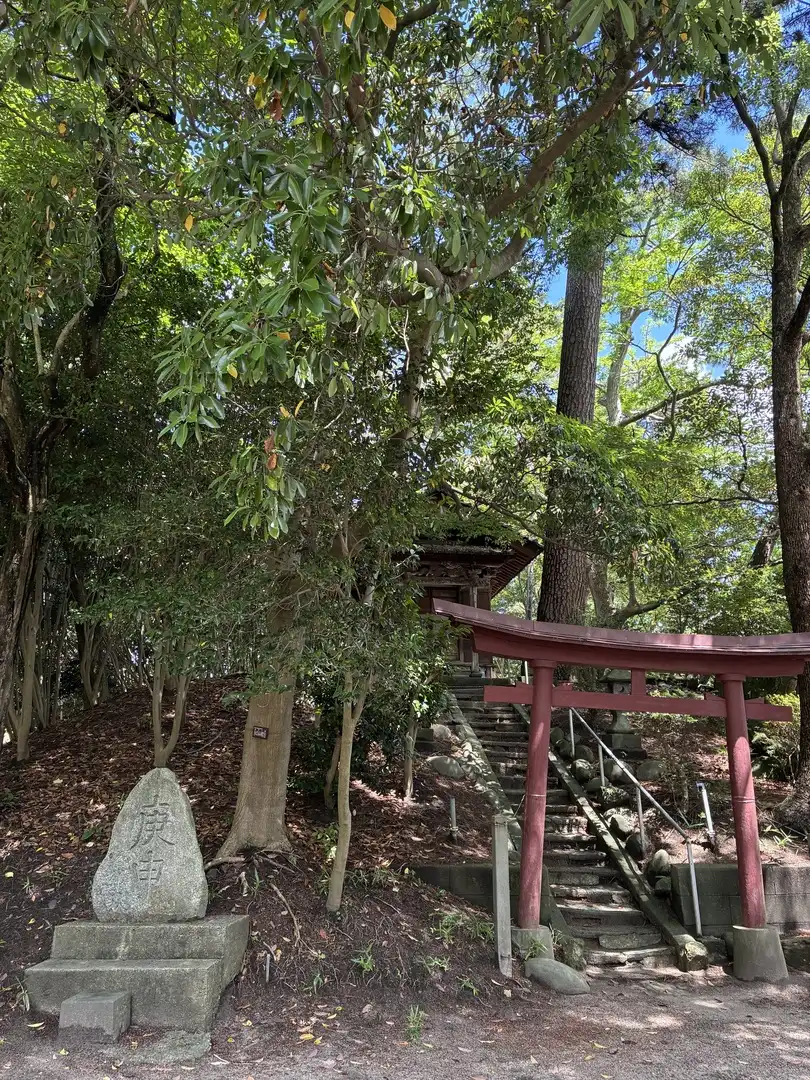 写真No.4