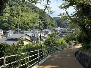 写真No.3