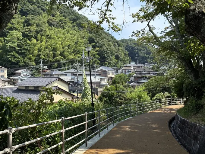 写真No.3