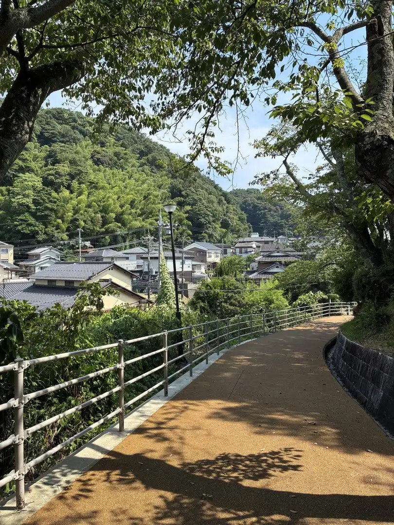 写真No.3