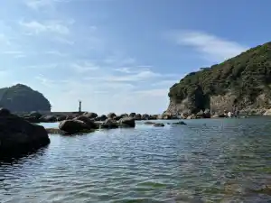 写真No.15