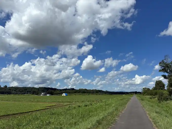 写真No.1