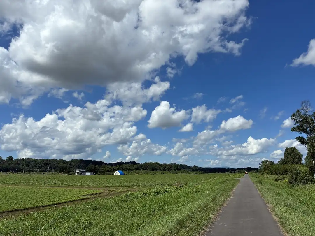 写真No.1