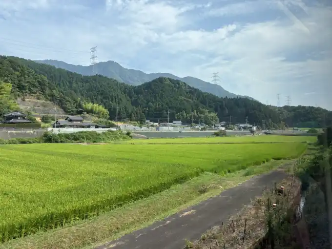 写真No.3