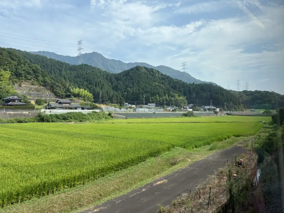 写真No.3