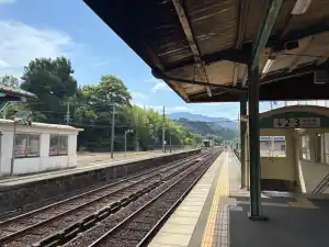 写真No.2