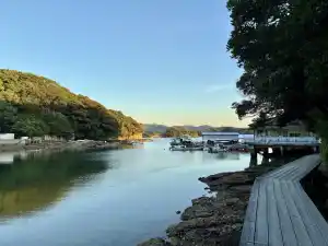 写真No.7