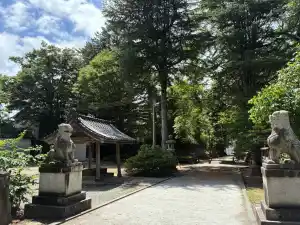 写真No.7