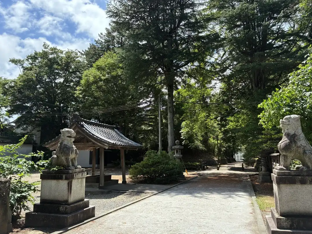 写真No.7