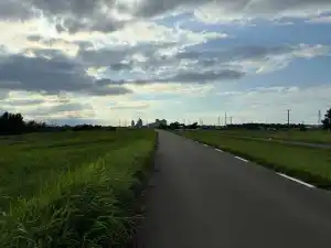 写真No.2