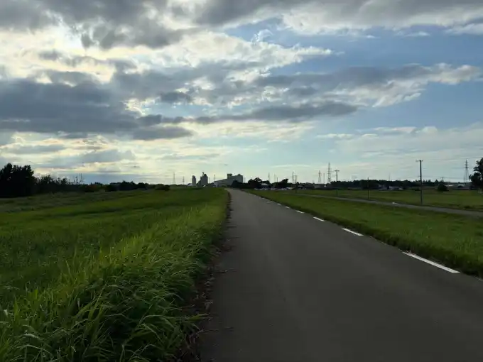 写真No.2