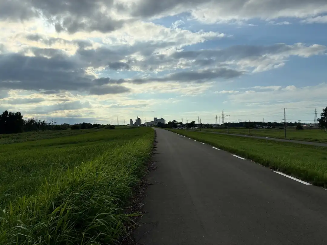 写真No.2