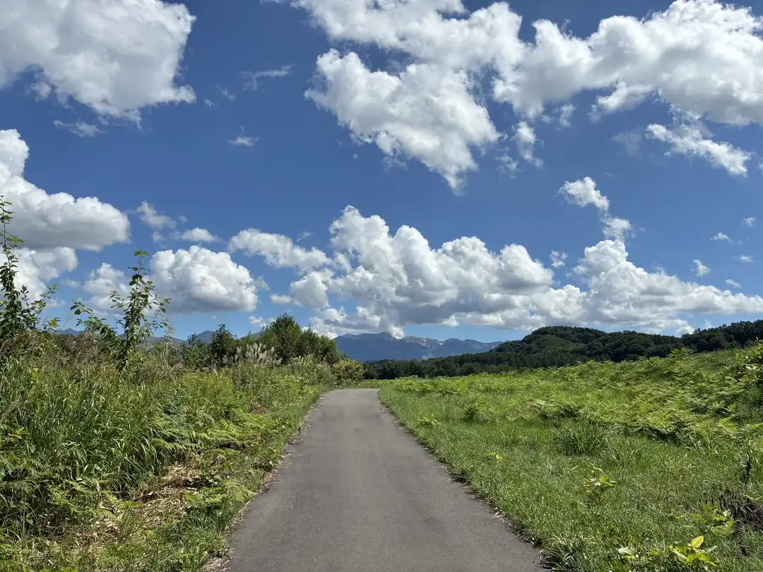 写真No.19