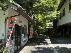 写真No.9