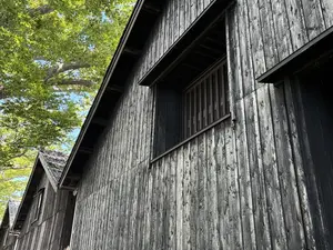写真No.7