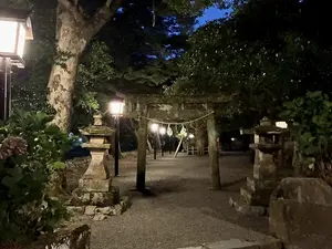 写真No.8