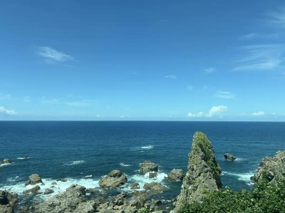 写真No.6