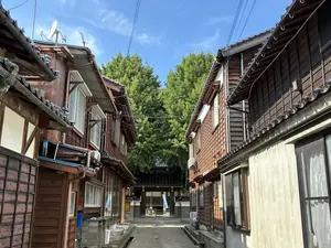 写真No.5