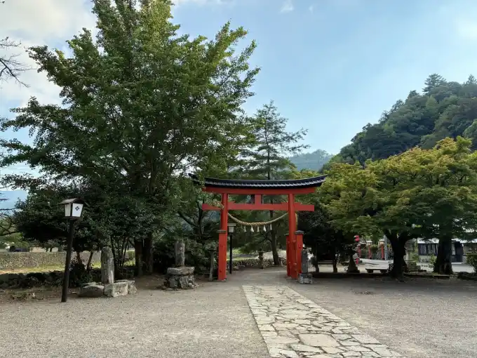 写真No.2