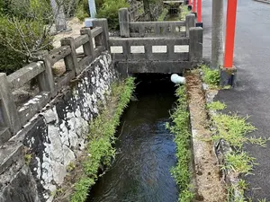 写真No.12