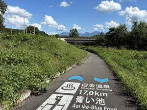 写真No.25