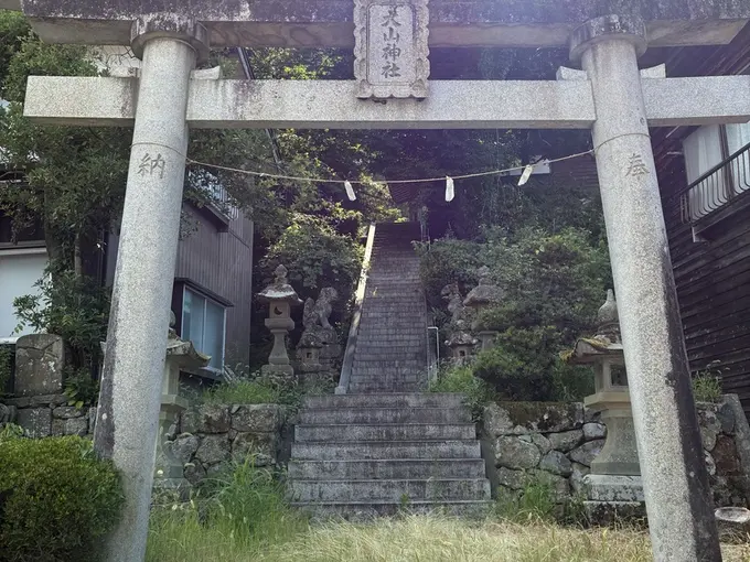 写真No.2