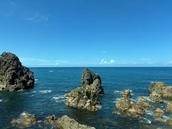 写真No.1