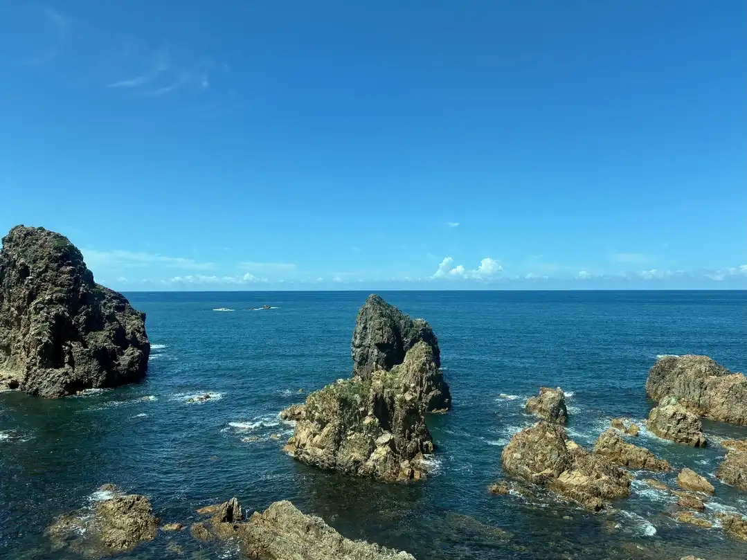 写真No.1