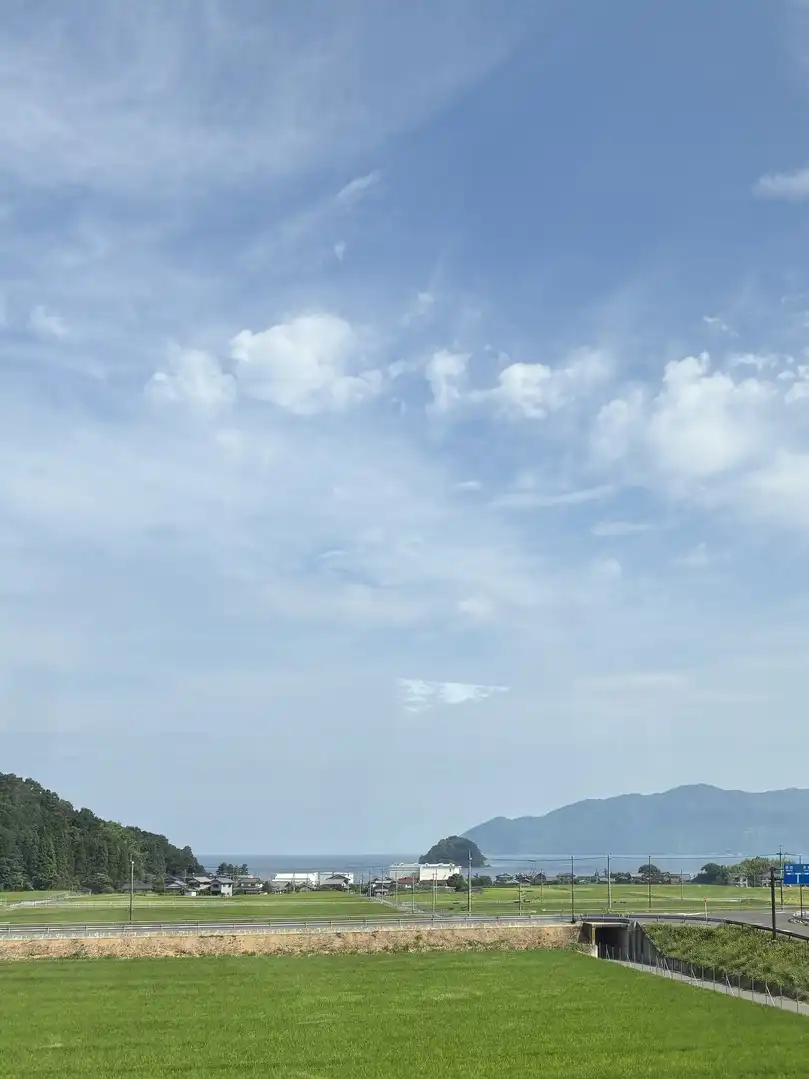 写真No.4