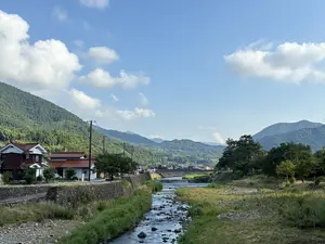 写真No.13