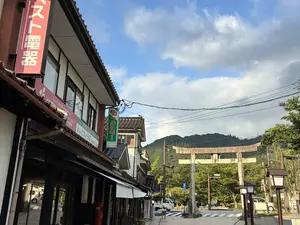 写真No.12