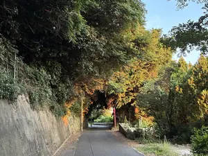 写真No.5
