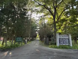 写真No.5