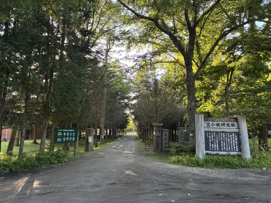 写真No.5