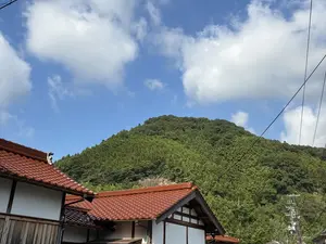 写真No.9