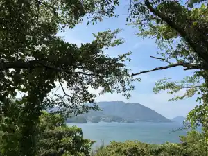写真No.1