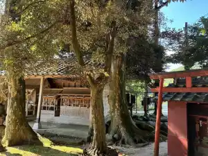 メイン写真